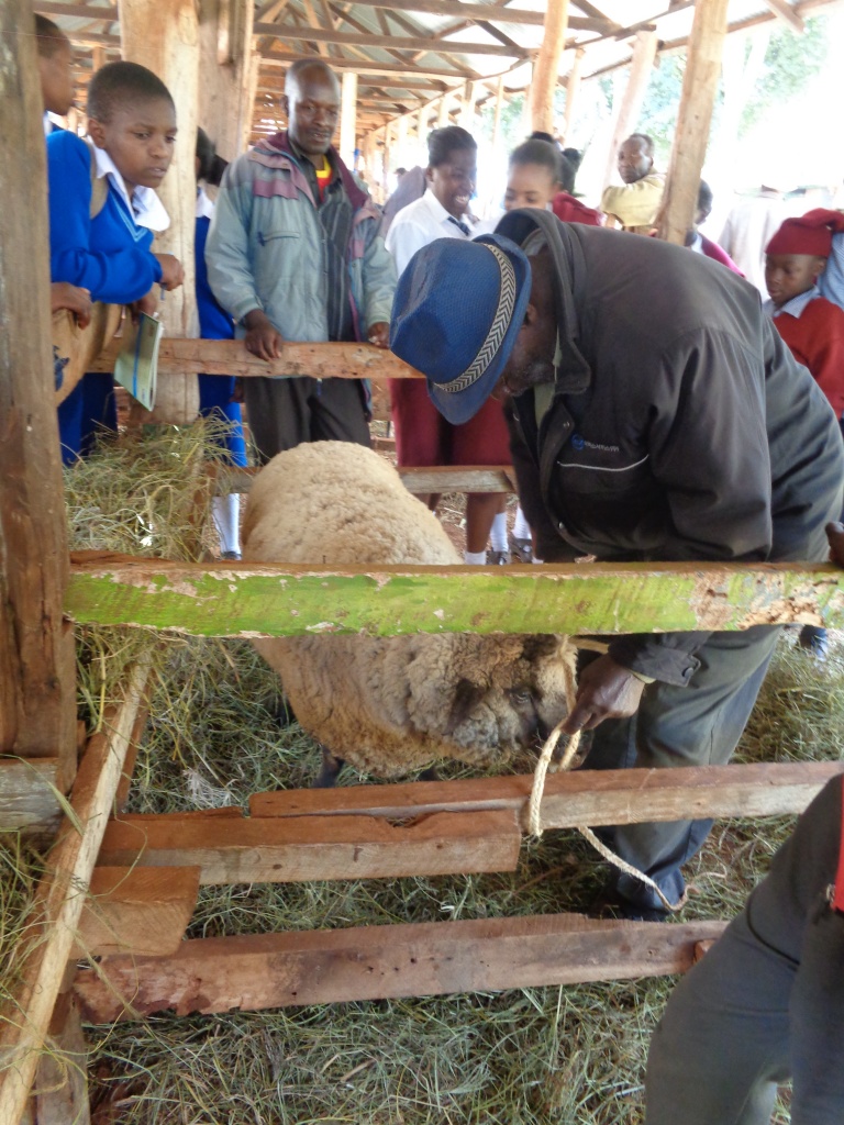 John Wanjohi Mundui-Nyeri County ASK show.jpg